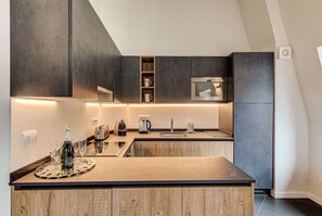 The modern fully equipped kitchen in apartment Alpes V