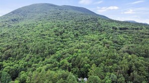 Red Mountain. Can you find our Vermont Mountain Home?