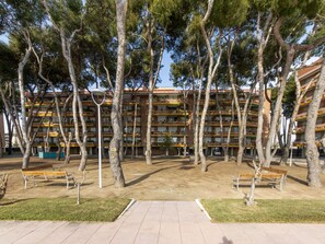 Building, Plant, Shade, Wood, Tree, Urban Design, Trunk, House, Woody Plant, Leisure