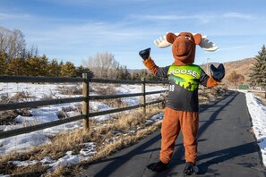 Patrick C Moose on the Walking/Biking Trails at Powderwood Pines