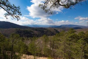Land, Nature, Outdoors, Tree, Vegetation