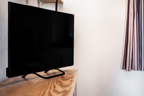 Television