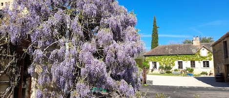 Jardines del alojamiento