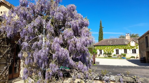 Jardines del alojamiento