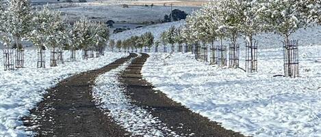 Oberon has four distinct seasons with a chance of snow in winter season