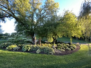 Shade garden for you to enjoy.