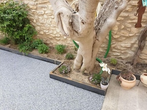 cours de la maison