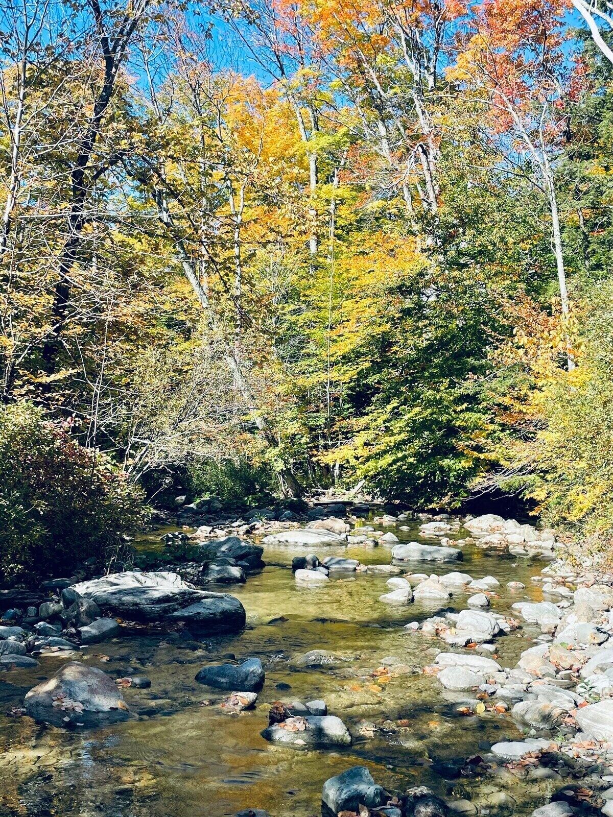 Smugglers’ Notch Ski-in / Ski-out condo close to the village lift & restaurants