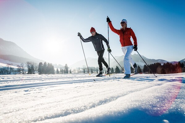 Sneeuw- en skisporten