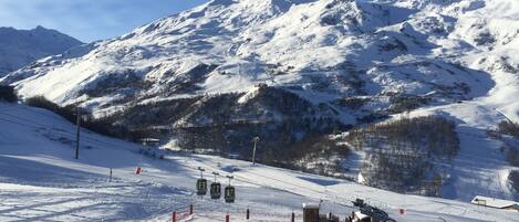 Sneeuw- en skisporten