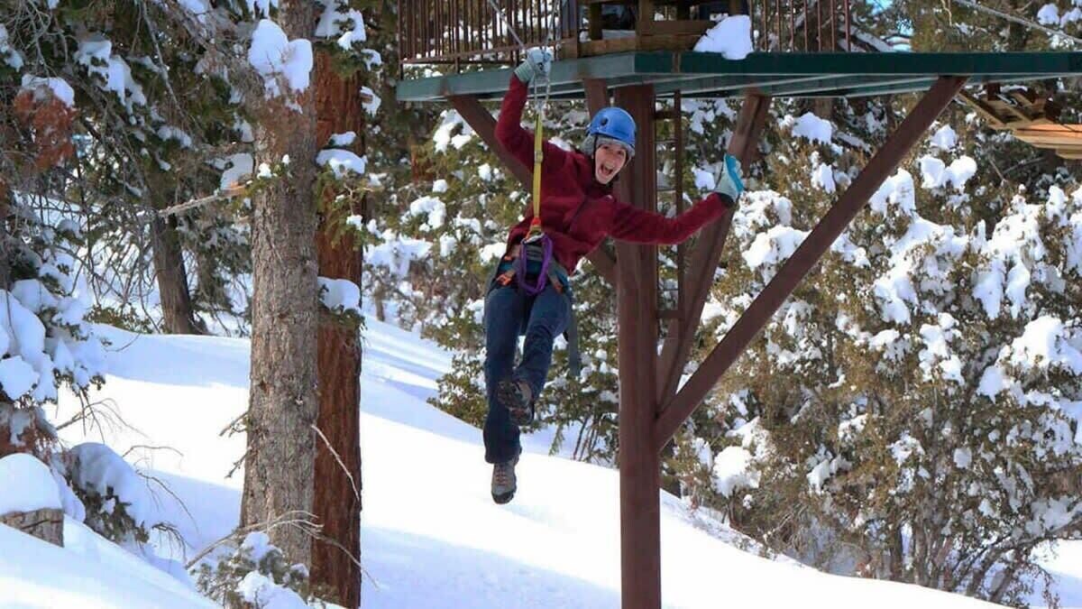 Views and Dogs OK – Big Bear Treehouse