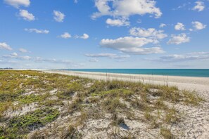 Beach area