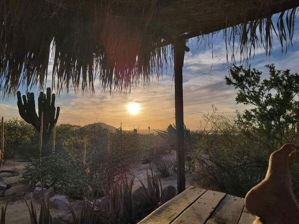 Tu palapa privada
