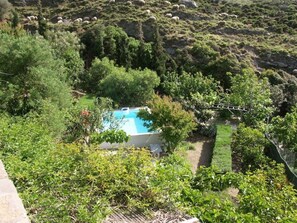 Plunge Pool