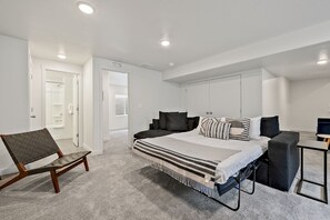 Basement Seleeper Sofa2