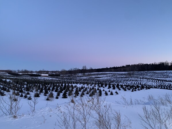 Skidåkning och snöaktiviteter