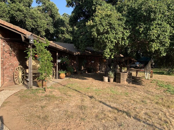Property grounds