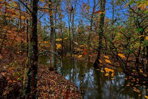 Beautiful flowing creek on site! 