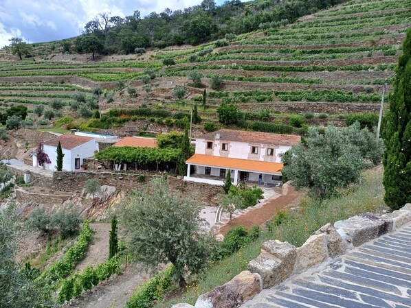 A Quinta da Salgueira