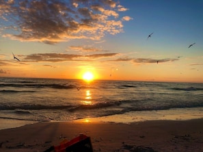 Siesta Key’s public beach.