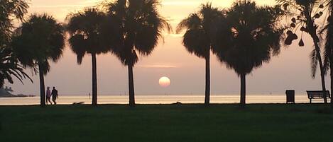 Beautiful sunrise over Tampa Bay