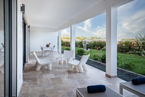 Modern Terrace Overlooking Garden