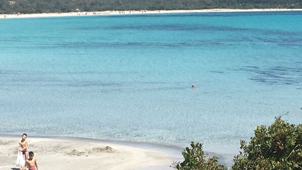 Strand