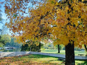 Overnatningsstedets område