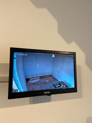 Television