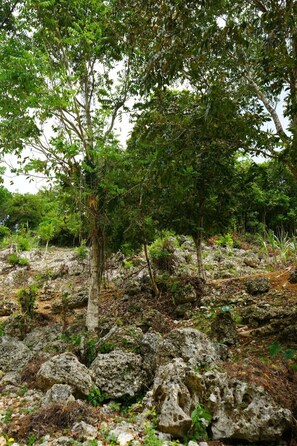 Terrain de l’hébergement 