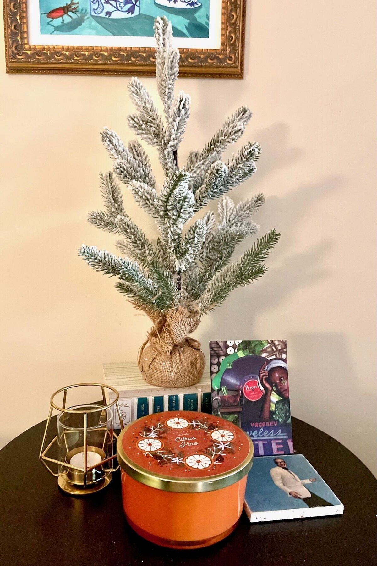 Cozy Christmas apartment centrally located near DC, VA & MD hotspots.
