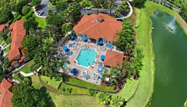 Aerial view of a resort-style pool surrounded by lush greenery and loungers.