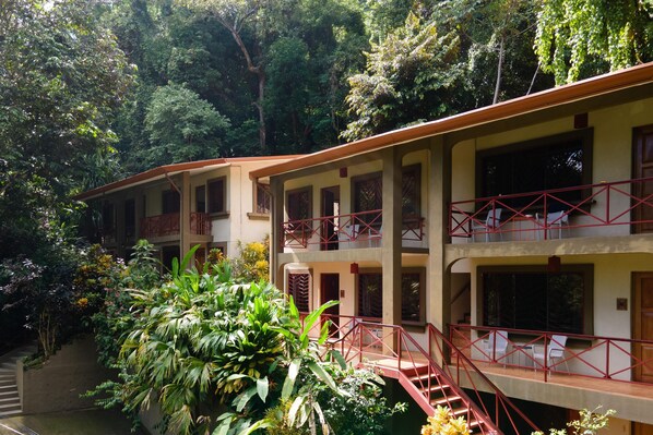 Private Spacious Fully Serviced Apt #6 w/ Pool (1846)