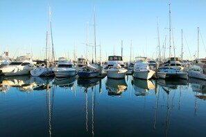 Boat rentals at the Marina