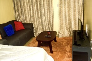 Living Room Area with Entertainment System