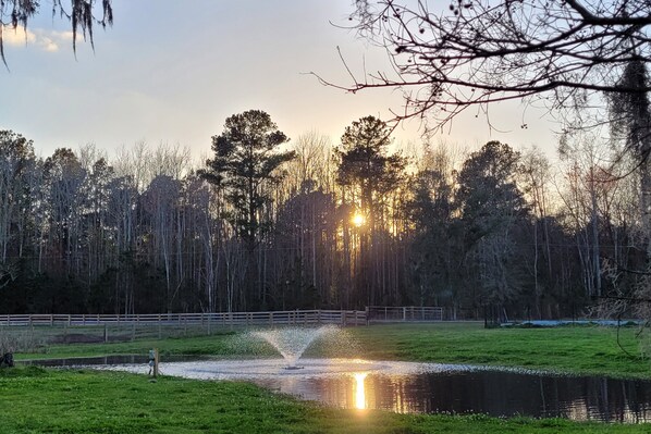 sunset over the pond