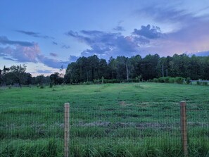 gorgeous views of the open field