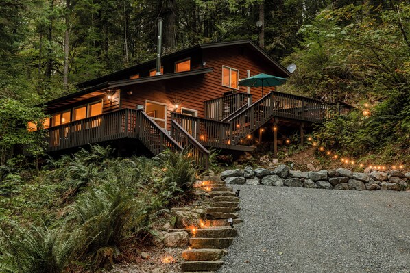 Our cabin nestled against the forest