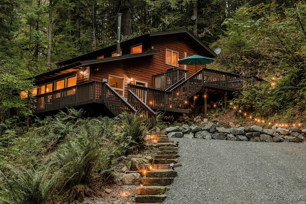 Our cabin nestled against the forest