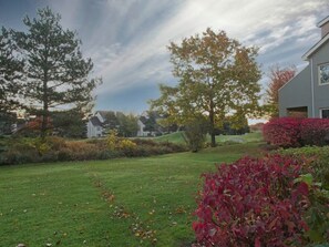 View (Back yard)