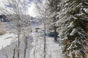 20-web-or-mls-PTL 306 -96