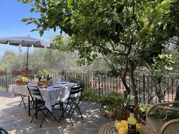 Table, Meubles, Propriété, Plante, Chaise, Feuille, Ombre, Arbre, Tableau De Plein Air, Mobilier De Jardin