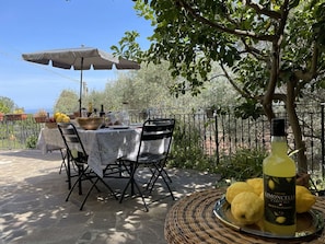 Table, Plante, Meubles, Propriété, Chaise, Arbre, Mobilier De Jardin, Tableau De Plein Air, Ciel, Ombre