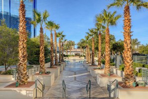 Jardines del alojamiento