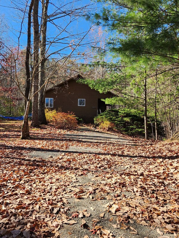 LaurelWood cabin
