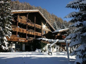 Chalet Apartements Senger