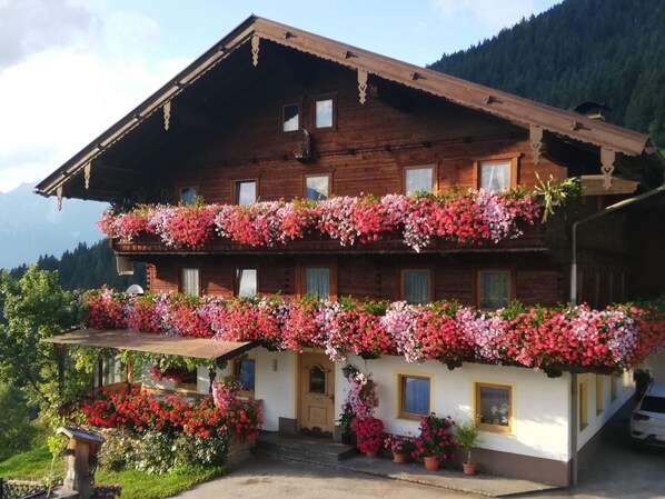 Extérieur maison de vacances [été]