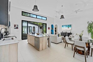 Kitchen and living room area