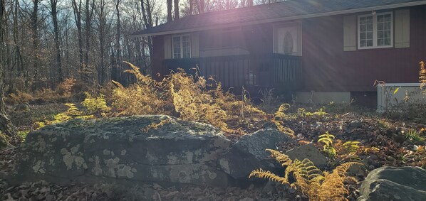 Sunset view of the back of the cabin.