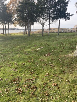 Boendeområde